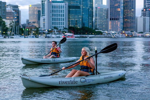 Brisbane Kayak Tour - Newcastle Accommodation 3