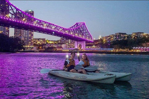 Brisbane Kayak Tour - Newcastle Accommodation 4