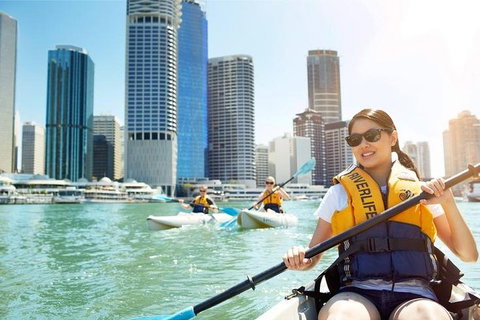 Brisbane Kayak Tour - Newcastle Accommodation 5