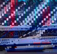 Evening Rainforest  Glow Worm Experience