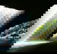 Natural Bridge  Springbrook Waterfalls Tour