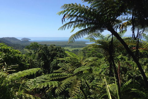 Daintree And Cape Tribulation Full Day Guided Tour - Newcastle Accommodation 2