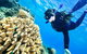 Green Island Day Trip From Cairns - thumb 1