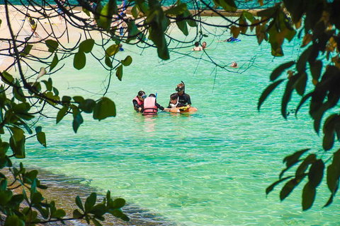 Green Island Day Trip From Cairns - Newcastle Accommodation 2