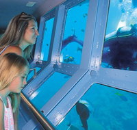 Quicksilver Outer Great Barrier Reef Snorkel Cruise from Palm Cove - Newcastle Accommodation