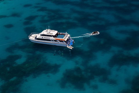 Quicksilver Dive 4 Day PADI Learn To Dive Course - New Castle Tourism 1