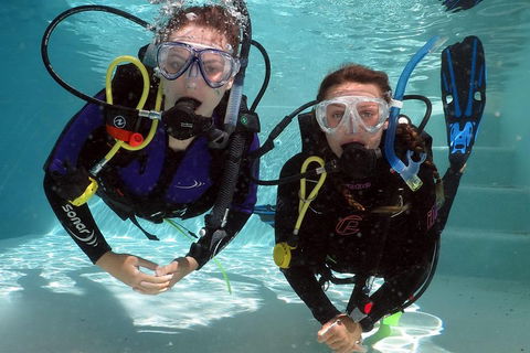 Quicksilver Dive 4 Day PADI Learn To Dive Course - New Castle Tourism 2