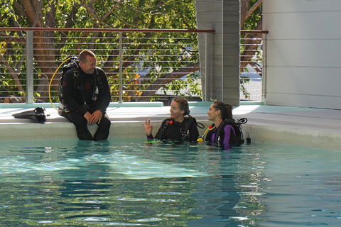 Quicksilver Dive 4 Day PADI Learn To Dive Course - New Castle Tourism 3