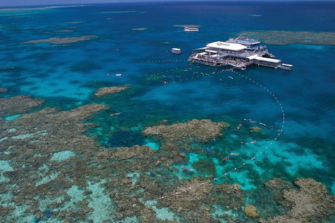 Ultimate 3-Day Great Barrier Reef Cruise Pass - New Castle Tourism 3