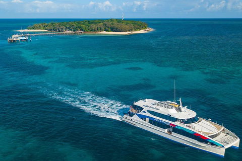 Ultimate 3-Day Great Barrier Reef Cruise Pass - New Castle Tourism 4