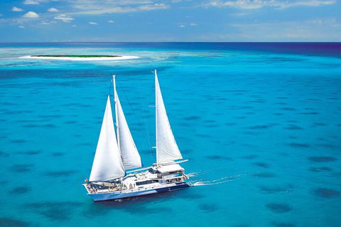 Ultimate 3-Day Great Barrier Reef Cruise Pass - New Castle Tourism 5