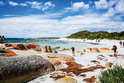 Wineglass Bay Private Charter Service - New Castle Tourism 3