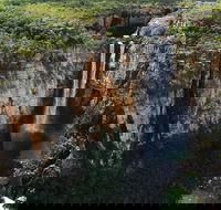 7 Days Darwin Kakadu National Park Katherine Gorge Touring Package - Newcastle Accommodation