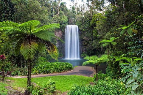 Cairns & Port Douglas All-Inclusive 7 Days Touring Package - New Castle Tourism 2