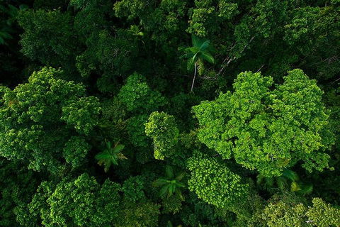 Cairns & Port Douglas All-Inclusive 7 Days Touring Package - New Castle Tourism 4