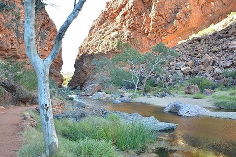 Alice Springs, Uluru Ayers Rock & Kings Canyon 8 Days Touring Package - New Castle Tourism 2