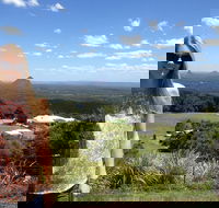 3 nights 2 full days private guided tour of the Sunshine Coast and Hinterland - Newcastle Accommodation