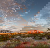 Uluru Kata Tjuta and Kings Canyon Camping Safari from Alice Springs - Newcastle Accommodation