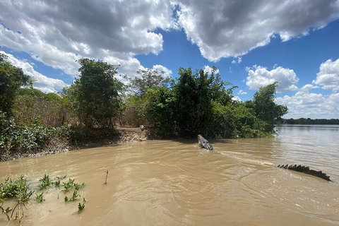 Top End Waterfalls And Wetlands - Newcastle Accommodation 2