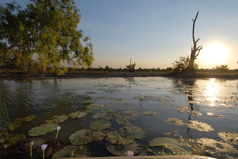 Top End Waterfalls And Wetlands - Newcastle Accommodation 4