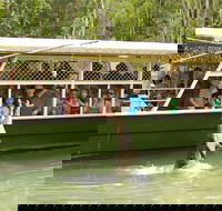 Hartley's Crocodile Adventure Half-Day Tour - New Castle Tourism