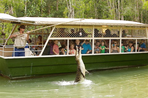 Hartley's Crocodile Adventure Half-Day Tour - New Castle Tourism 0