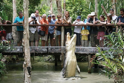 Hartley's Crocodile Adventure Half-Day Tour - New Castle Tourism 1