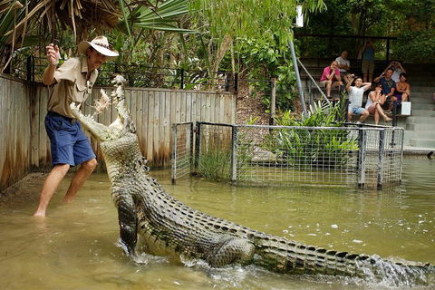 Hartley's Crocodile Adventure Half-Day Tour - New Castle Tourism 2