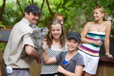 Hartley's Crocodile Adventure Half-Day Tour - New Castle Tourism 3