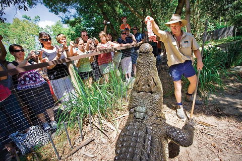 Hartley's Crocodile Adventure Half-Day Tour - New Castle Tourism 4