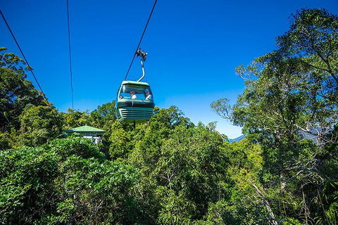 Skyrail Rainforest Cableway Day Trip From Cairns - New Castle Tourism 1