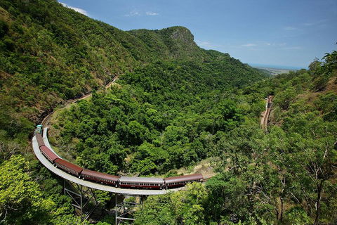 Skyrail Rainforest Cableway Day Trip From Cairns - New Castle Tourism 5