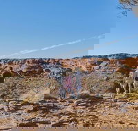 The Amazing Kings Canyon 4-Hours Walking Tour and Hike - Newcastle Accommodation