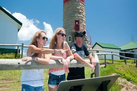 Full-Day Moreton Island 4x4 Sightseeing Tour - Newcastle Accommodation 3