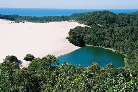 Full-Day Moreton Island 4x4 Sightseeing Tour - Newcastle Accommodation 5