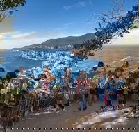 Historic Port Arthur Day Trip from Hobart Including Cliff-Top Walk to Waterfall Bay - Newcastle Accommodation