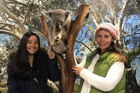 Australia Multi-City Attractions Pass - Newcastle Accommodation 3