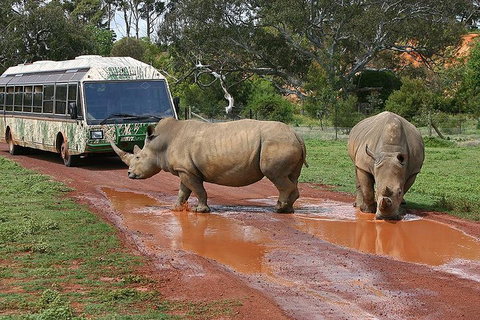 The Ultimate Melbourne Attractions Pass - Newcastle Accommodation 4