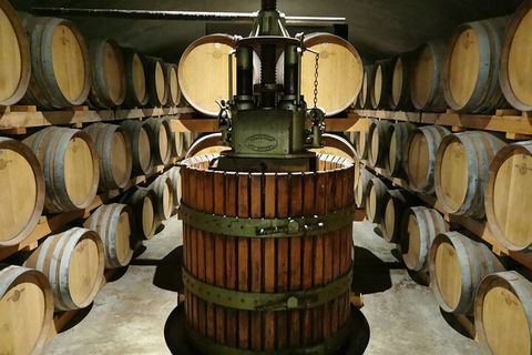 Margaret River Impression Day Tour From Perth - Newcastle Accommodation 1