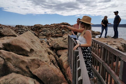 Margaret River Impression Day Tour From Perth - Newcastle Accommodation 4