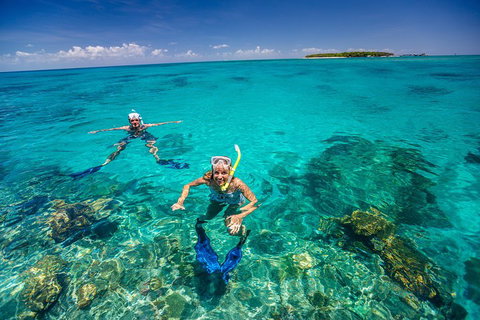 Green Island Discovery Including Glass Bottom Boat Tour Departing Cairns - Newcastle Accommodation 2