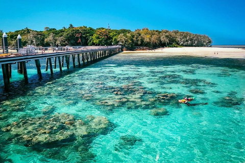 Green Island Discovery Including Glass Bottom Boat Tour Departing Cairns - Newcastle Accommodation 4