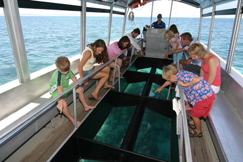 Green Island Discovery Including Glass Bottom Boat Tour Departing Cairns - Newcastle Accommodation 5