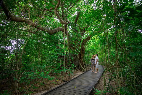 Green Island Day Trip Including Seawalker Helmet Dive COMBO - Newcastle Accommodation 1