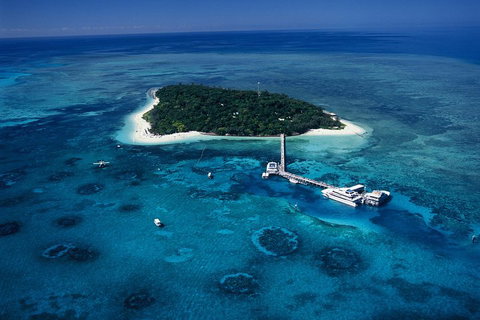 Green Island Day Trip Including Seawalker Helmet Dive COMBO - Newcastle Accommodation 5