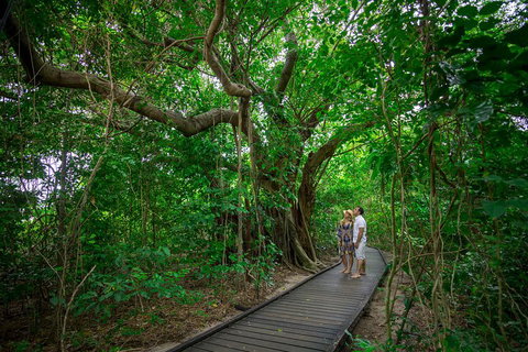 Green Island Eco Adventure From Cairns - Newcastle Accommodation 0