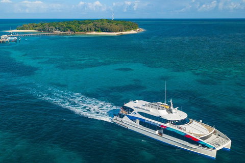 Green Island Eco Adventure From Cairns - Newcastle Accommodation 1