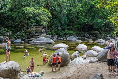 Cape Tribulation, Mossman Gorge, And Daintree Rainforest Day Trip From Cairns Or Port Douglas - Newcastle Accommodation 1