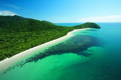 Cape Tribulation, Mossman Gorge, And Daintree Rainforest Day Trip From Cairns Or Port Douglas - Newcastle Accommodation 2