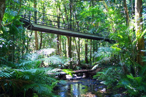 Cape Tribulation, Mossman Gorge, And Daintree Rainforest Day Trip From Cairns Or Port Douglas - Newcastle Accommodation 3